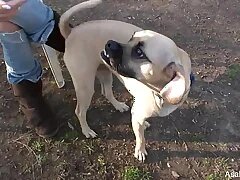 Chinese Sex Videos 55